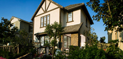 Sample image Sample image