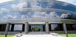Sample image Sample image